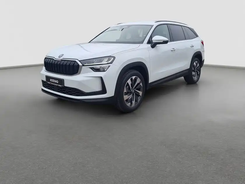 ŠKODA KODIAQ (1/16)
