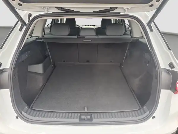 ŠKODA KODIAQ (13/16)