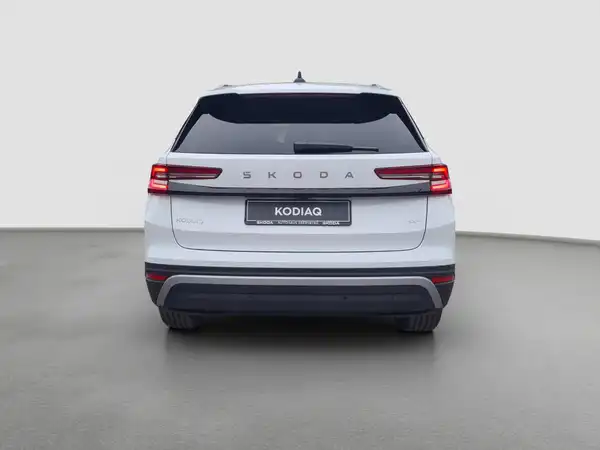 ŠKODA KODIAQ (6/16)