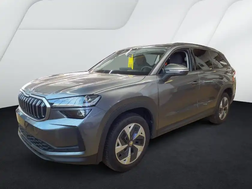 ŠKODA KODIAQ (1/7)