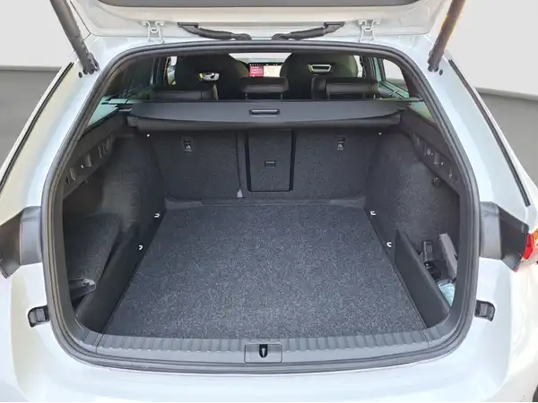 ŠKODA OCTAVIA (13/16)