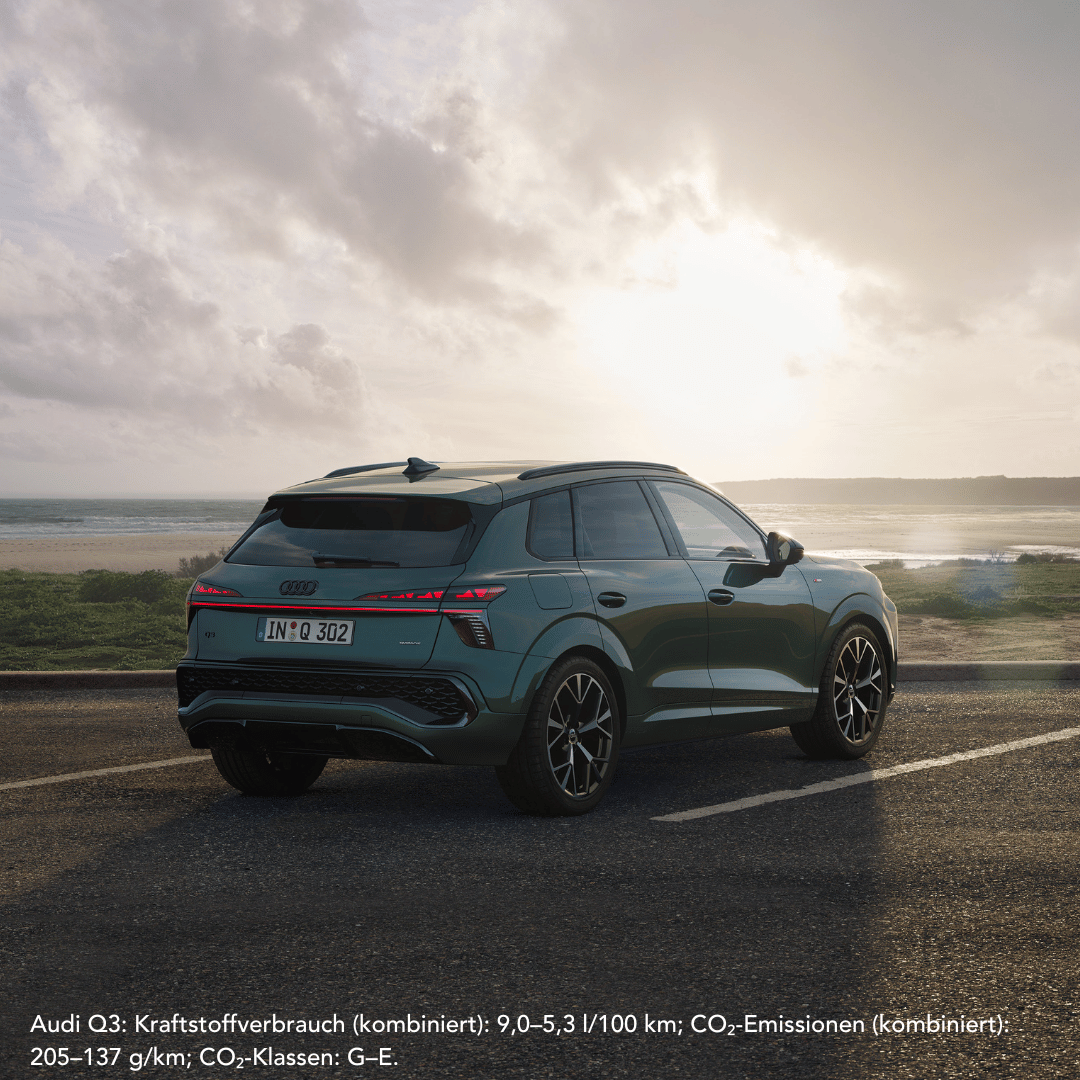 Audi Q3 in salbeigrün