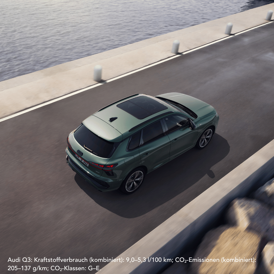 Audi Q3 in salbeigrün