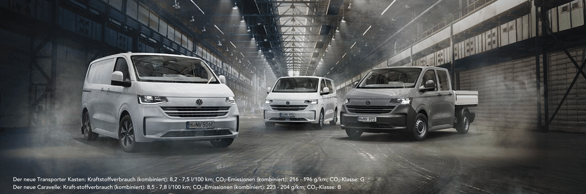 Transporter Kasten, Caravelle und Pritsche in Halle